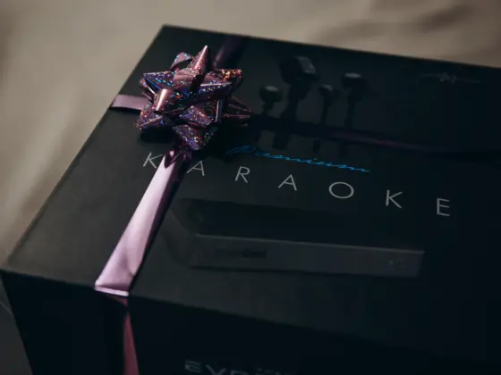 EVOBOX Premium karaoke system box wrapped with a gift bow and ribbon